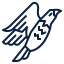Eagle Rock Pool Service